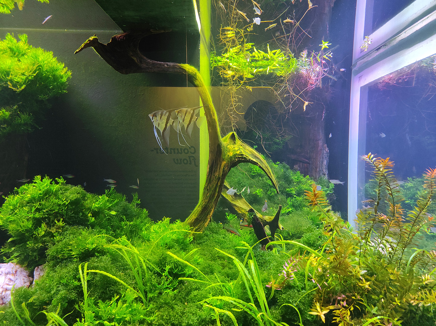 Explora acuarium 3